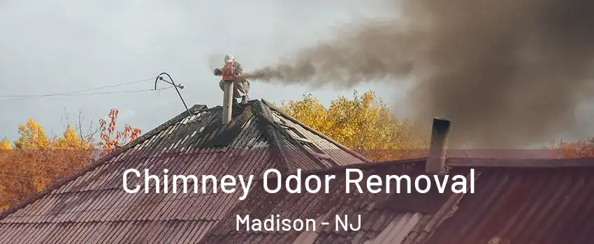  Chimney Odor Removal Madison - NJ