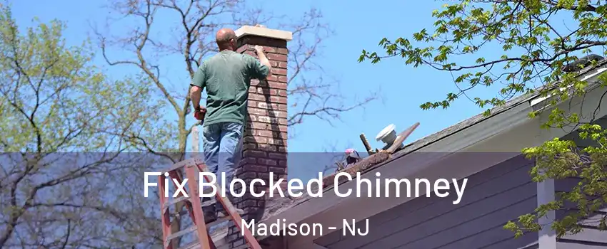 Fix Blocked Chimney Madison - NJ